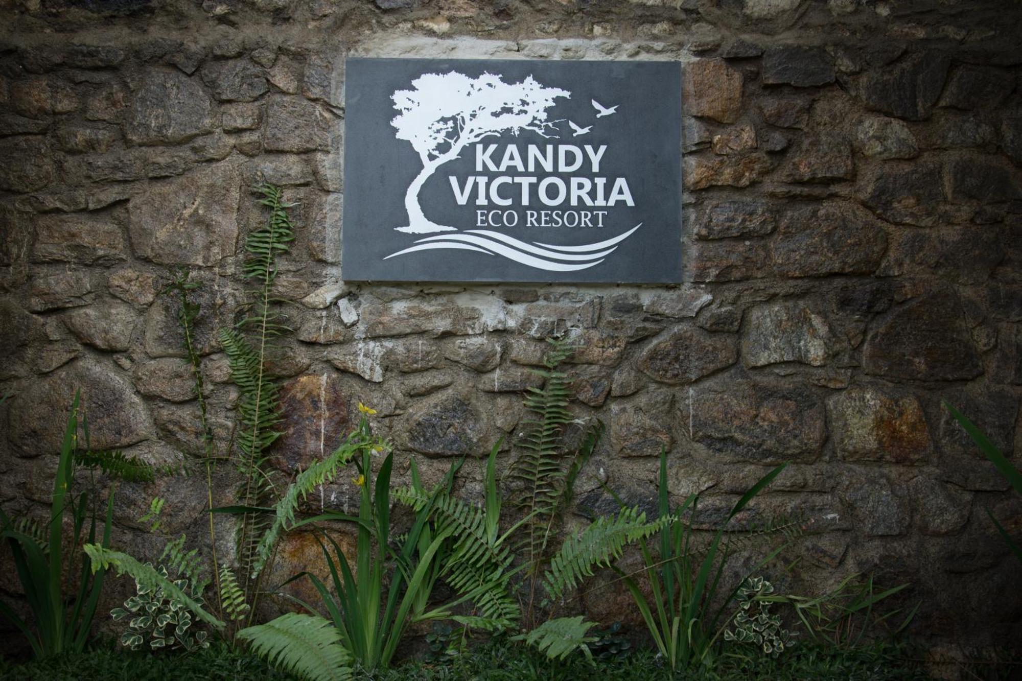 Kandy Victoria Eco Resort Экстерьер фото