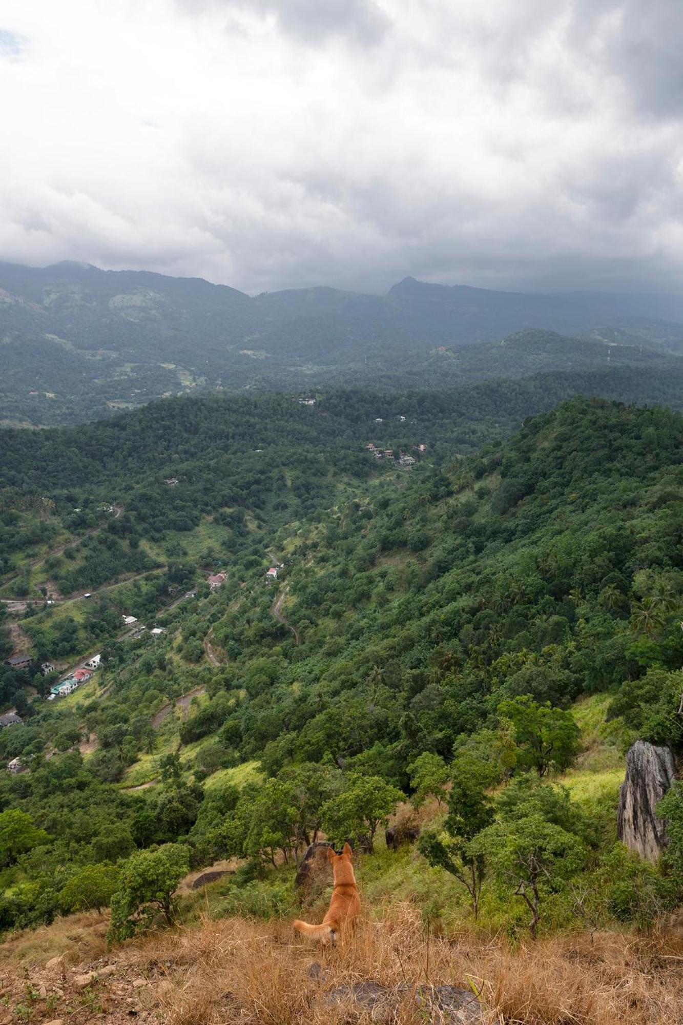 Kandy Victoria Eco Resort Экстерьер фото