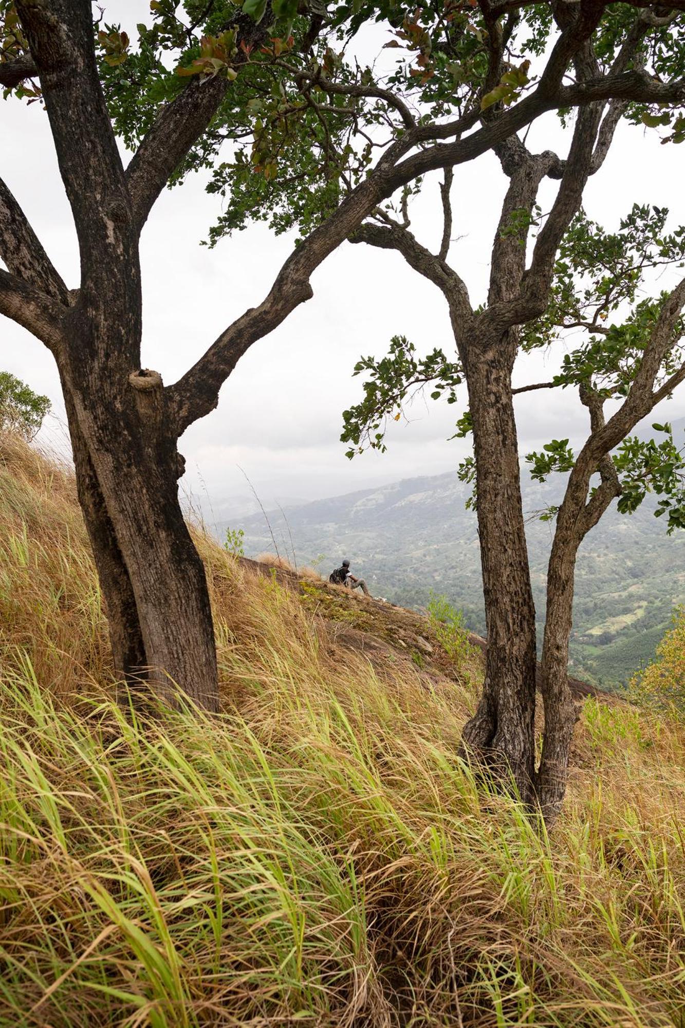 Kandy Victoria Eco Resort Экстерьер фото
