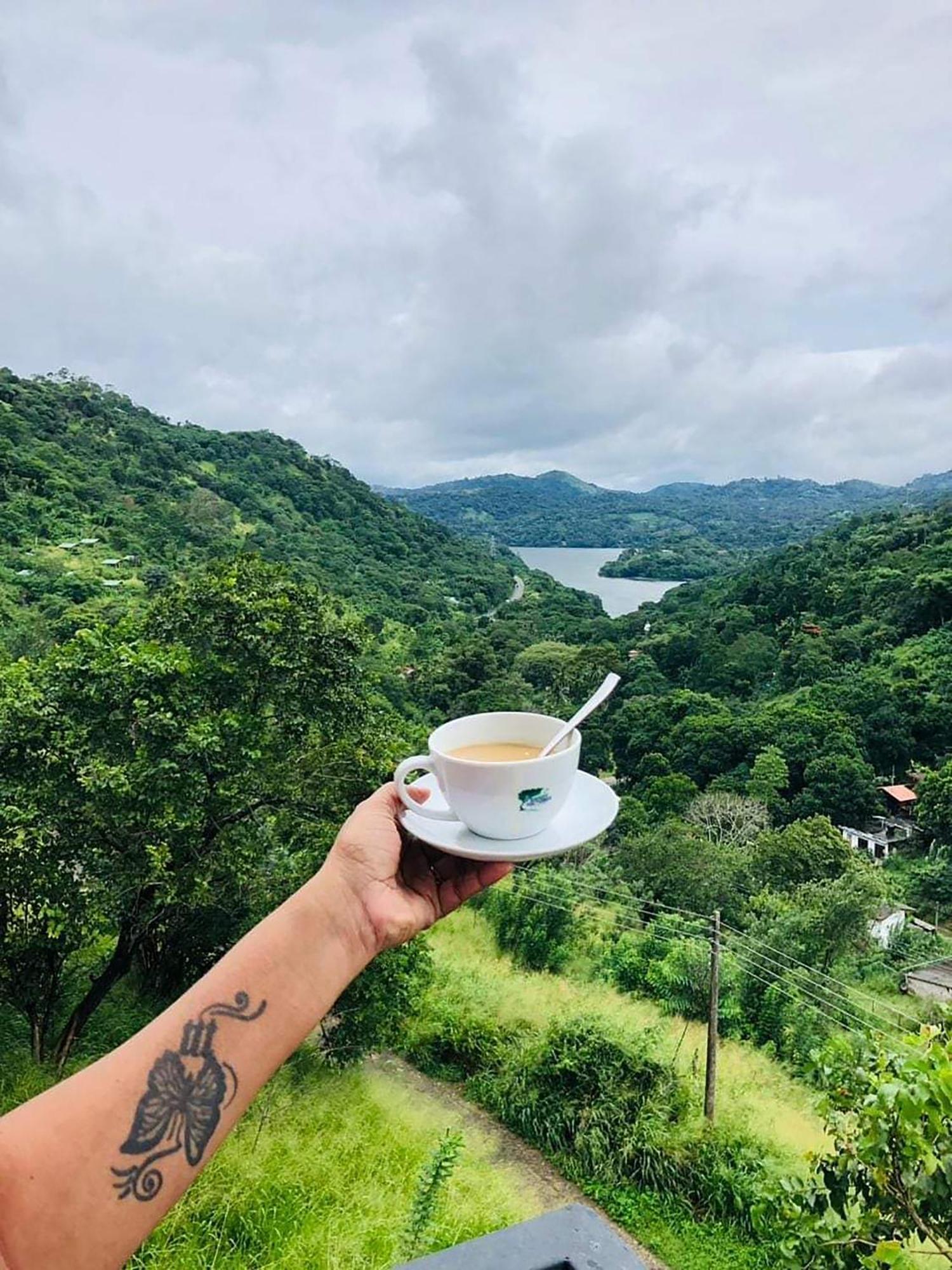 Kandy Victoria Eco Resort Экстерьер фото