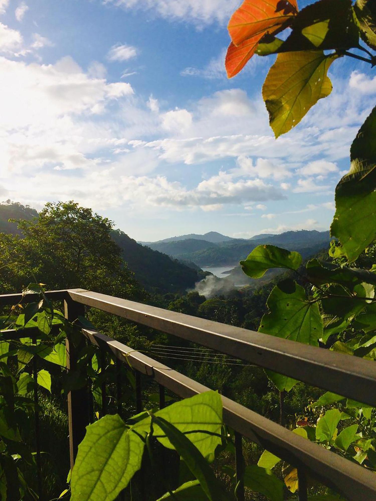 Kandy Victoria Eco Resort Экстерьер фото